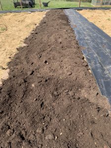 row of dirt in garden bed
